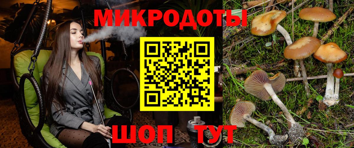Ишимбай  Псилоцибиновые грибы Psilocybe  Вход с VPN 